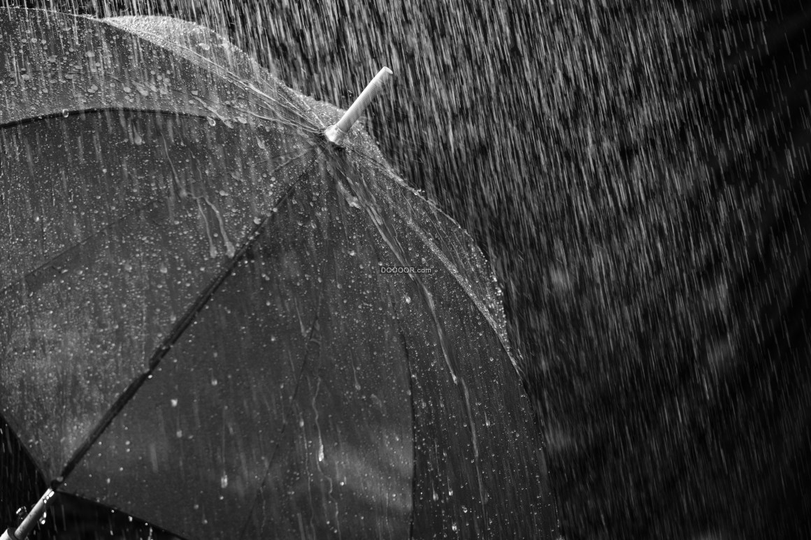 雨中的雨伞黑白的世界