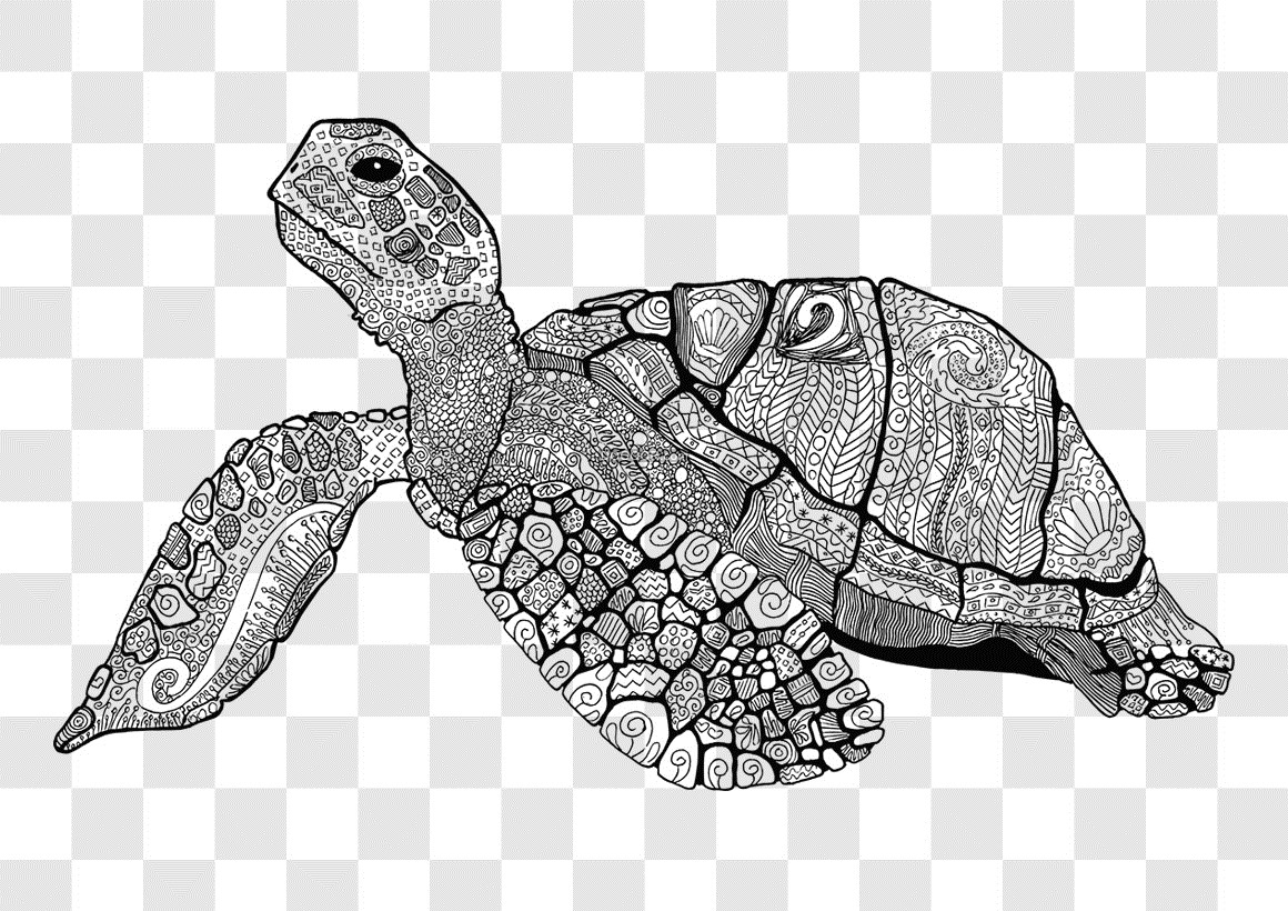 创意设计一只灰色的乌龟身上点缀着花纹高清png素材