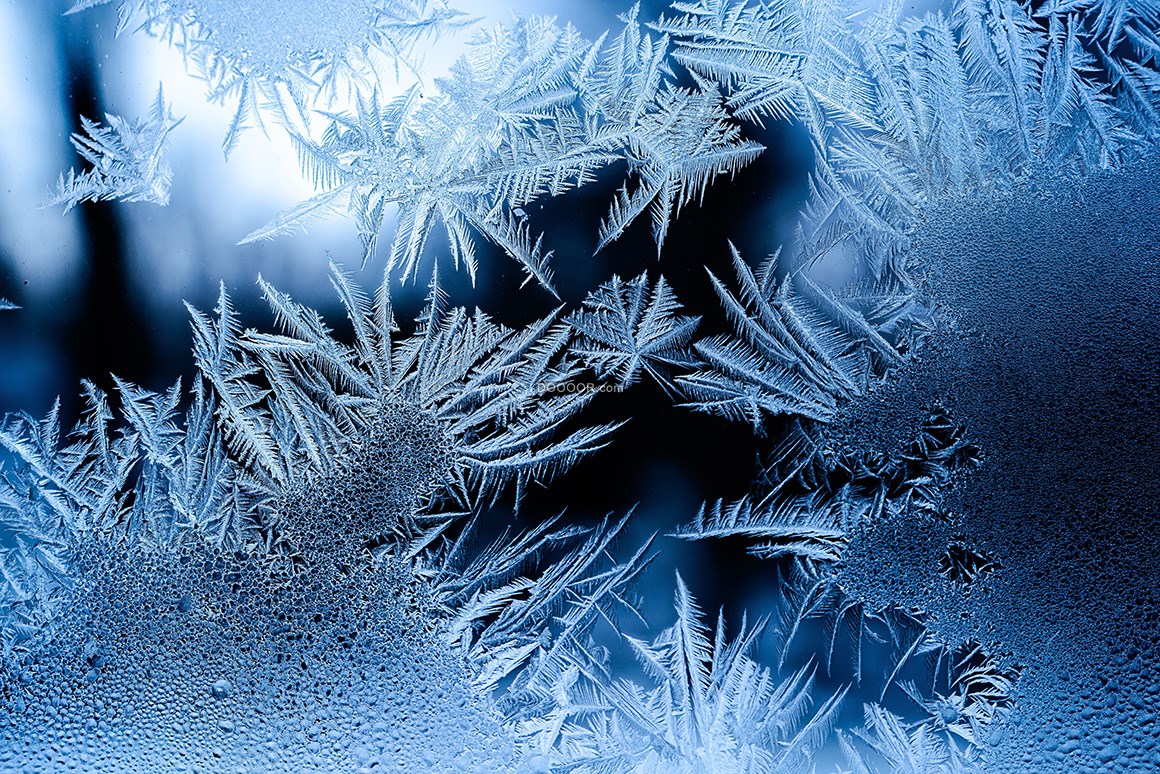 82 mb, 售价: 1 金币) 冰碴冰花冰晶冬天窗花高清素材自然风景素材