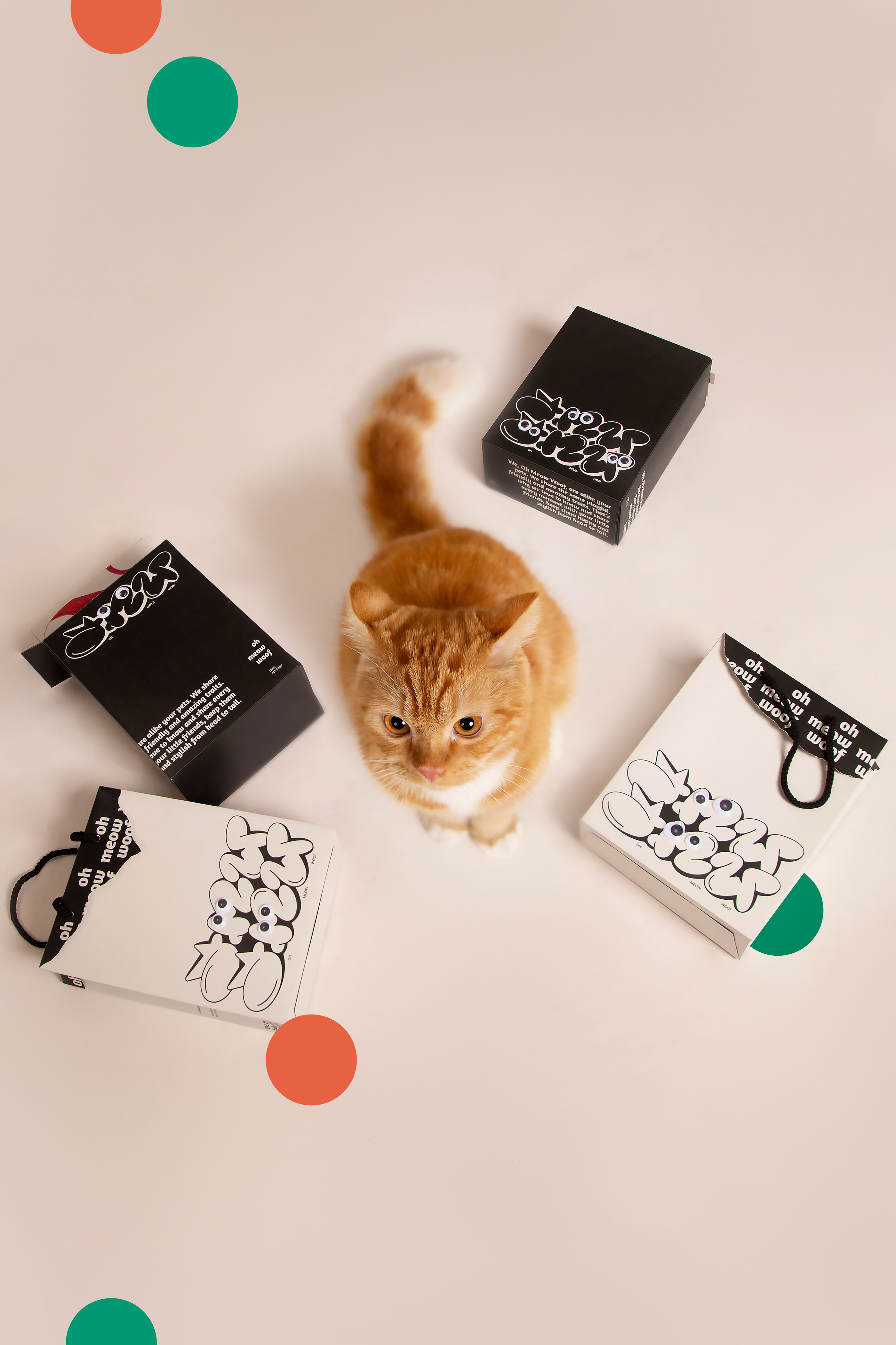 动物应用设计、品牌设计、猫设计、标识标识、标志、宠物店宠物-5.jpg
