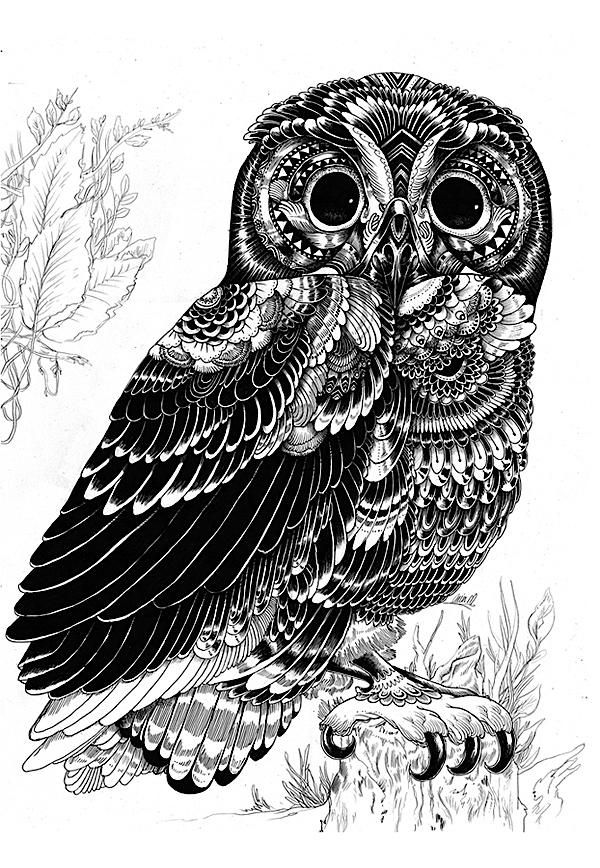wild life Ink动物插图英国伊恩麦克阿瑟作品7.jpg