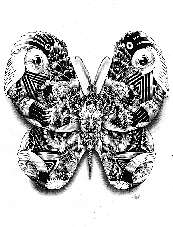 wild life Ink动物插图英国伊恩麦克阿瑟作品8.jpg