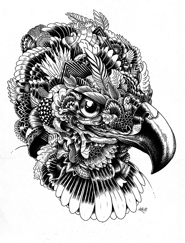 wild life Ink动物插图英国伊恩麦克阿瑟作品9.jpg