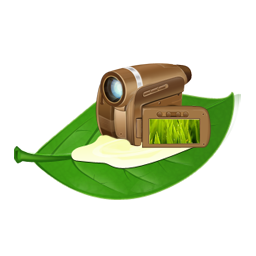 cameras_document1.png