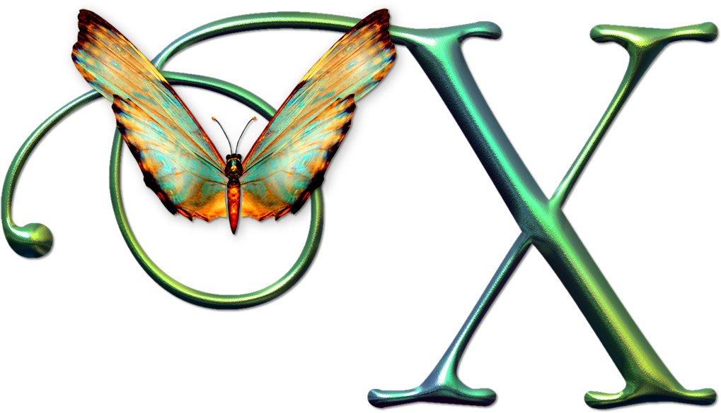 X.png