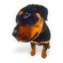 puppy_dogs_01.png
