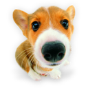 puppy_dogs_02.png