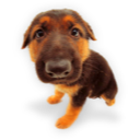 puppy_dogs_07.png