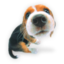 puppy_dogs_10.png