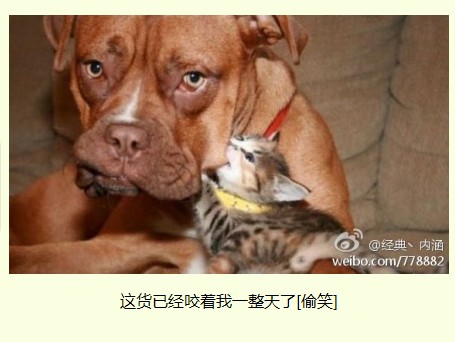 QQ截图20120301152050.jpg
