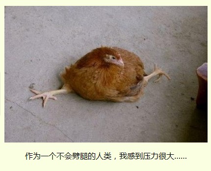 QQ截图20120409185152.jpg