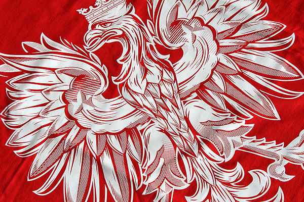 SURGE Collection 2012-EAGLE波兰鹰T恤图案设计欣赏