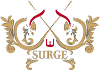 SURGE Collection 2012-EAGLE波兰鹰T恤图案设计欣赏