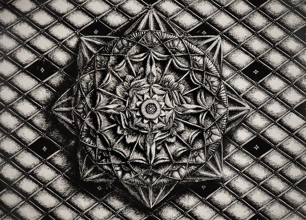 Fine Line Art精细线图形konahin复杂图案插画设计欣赏