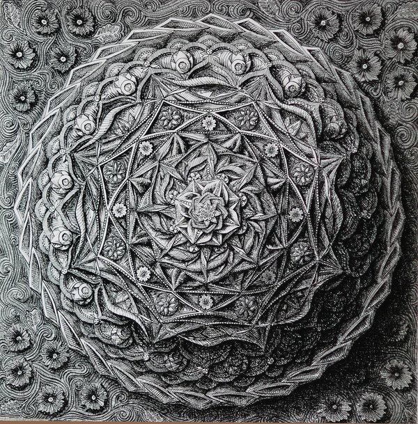Fine Line Art精细线图形konahin复杂图案插画设计欣赏