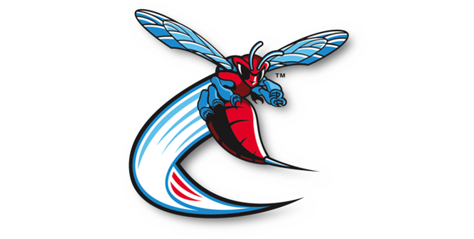 球队 动物 体育 卡通 logo