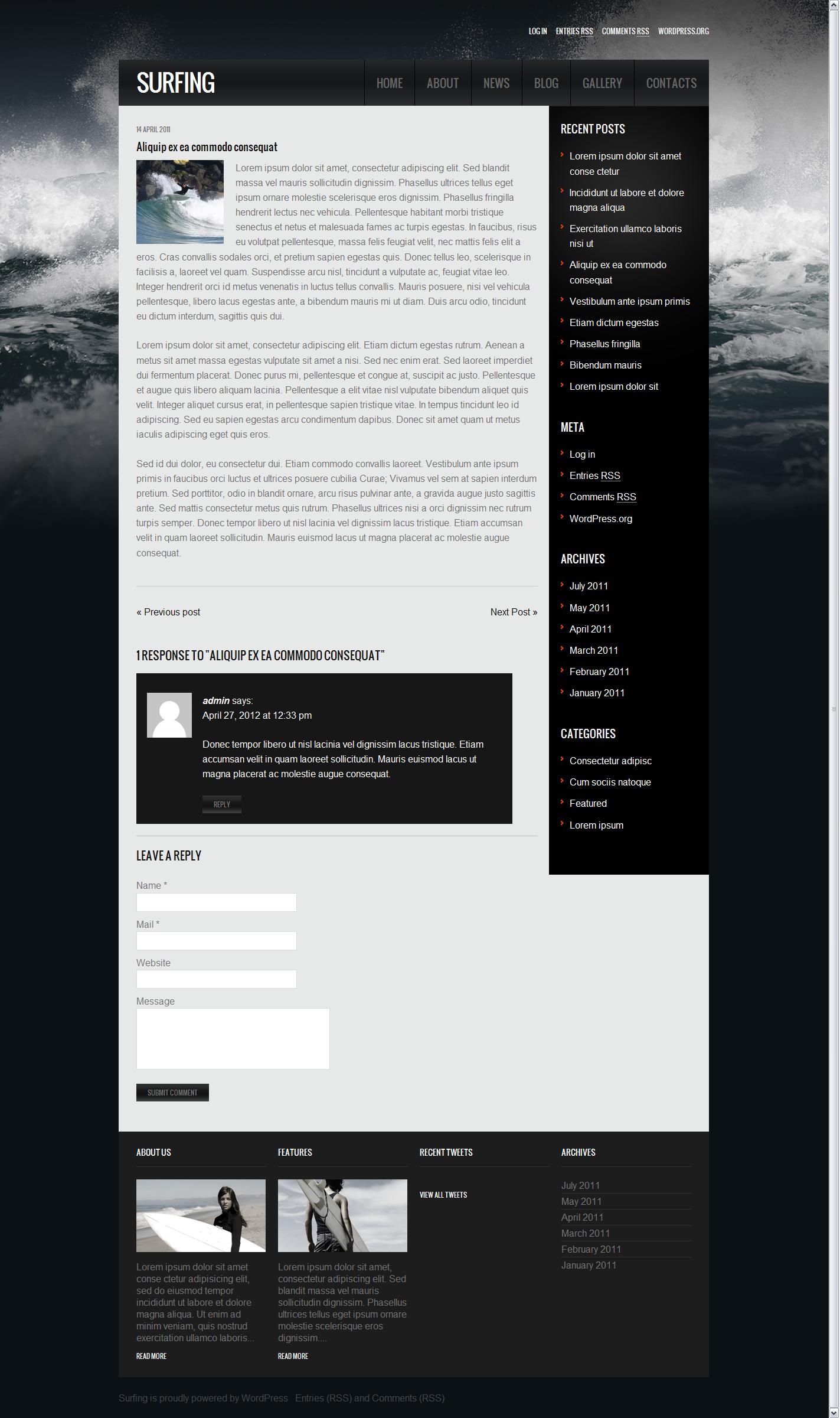 海上冲浪 网站 网页设计