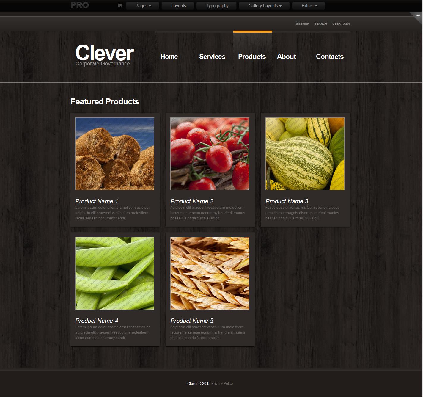CLEVER Products.jpg