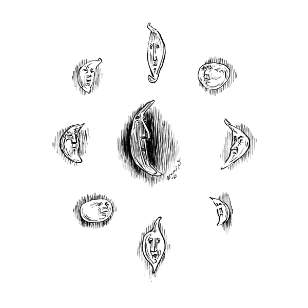 2166c0836e4d900467acf8850fd071c5.png