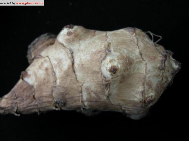 80后农村孩子童年的记忆…… (14).jpg