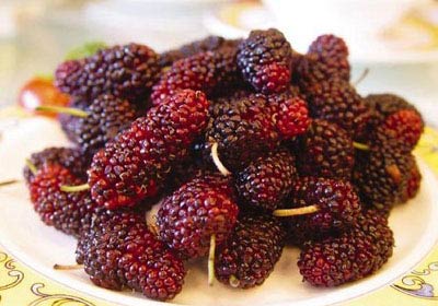 80后农村孩子童年的记忆…… (21).jpg