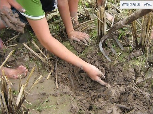 80后农村孩子童年的记忆…… (71).jpg
