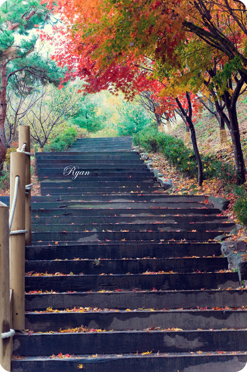 一点景观浸秋红，霞光不染鹭纷飞[66P] (36).jpg