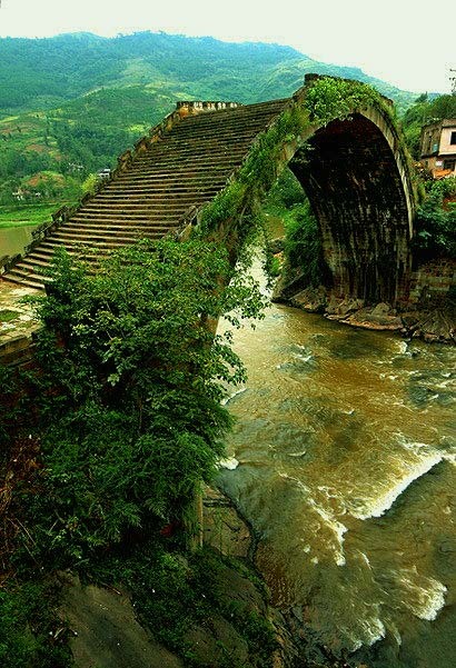 景观设计师灵感之源 生命不能缺少的绿色[47P] (19).jpg
