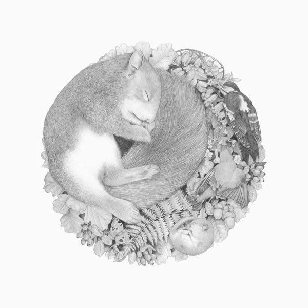 DENISE NESTOR写实睡眠的动物铅笔黑白插画[5P] (2).jpg