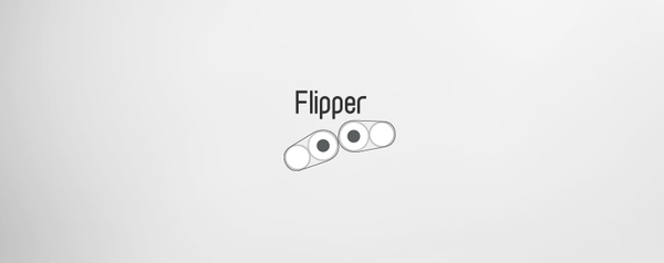 FLIPPER 洗涤干燥剂机械设计方案[28P].jpg