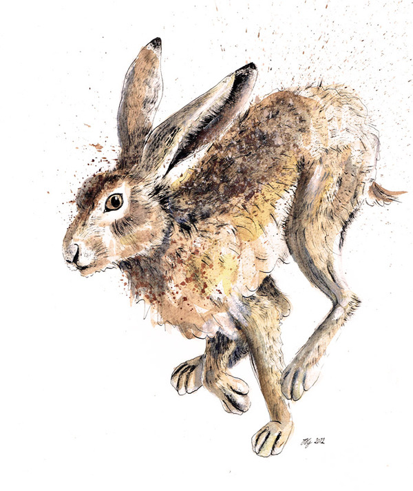 HARES 奔跑的野兔 动物插画[13P] (10).jpg