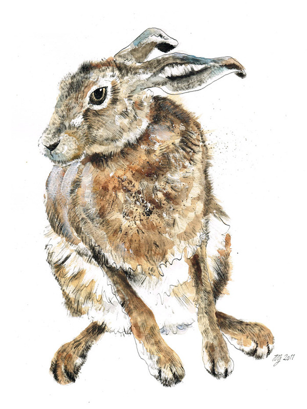 HARES 奔跑的野兔 动物插画[13P] (12).jpg