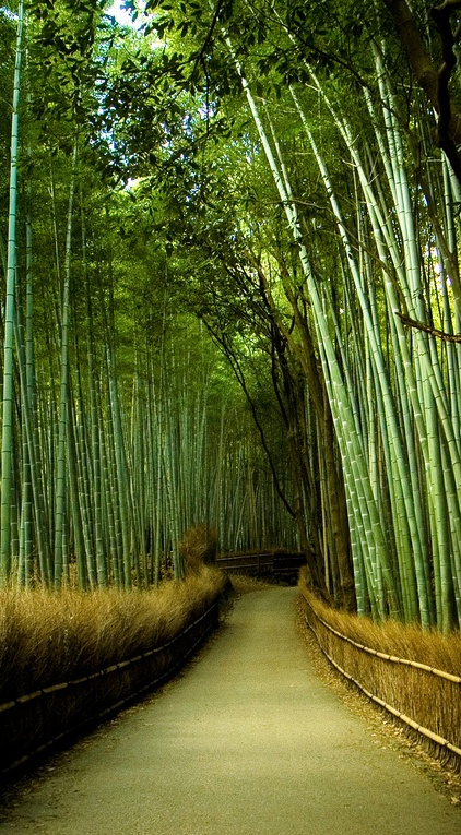 庭院小径景观设计实例 [47P] (26).jpg