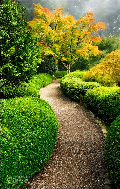 庭院小径景观设计实例 [47P] (28).jpg