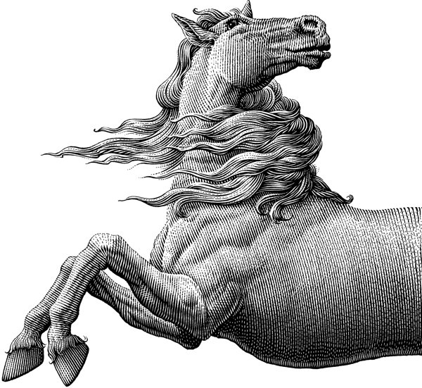 动物系列版画-Halbert作品欣赏[16P].jpg