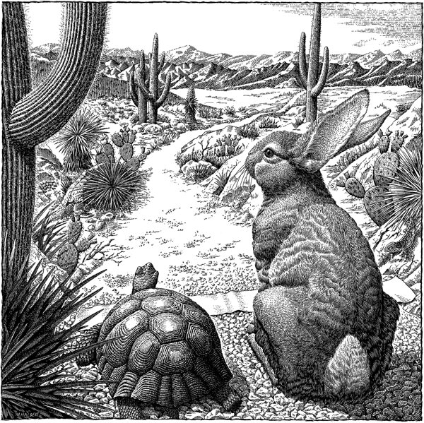 动物系列版画-Halbert作品欣赏[16P] (7).jpg