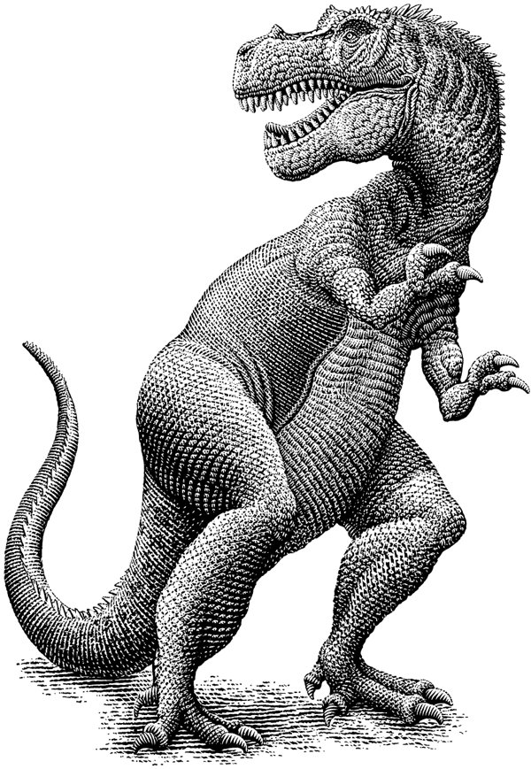 动物系列版画-Halbert作品欣赏[16P] (13).jpg