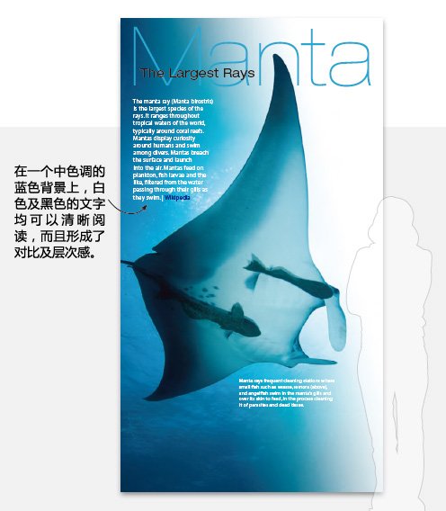 20100415110915135.jpg