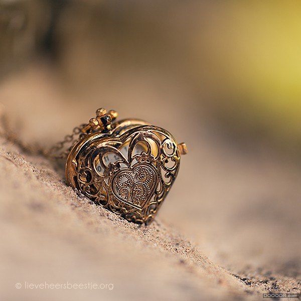 heart_of_gold_by_lieveheersbeestje-d69k1qw.jpg