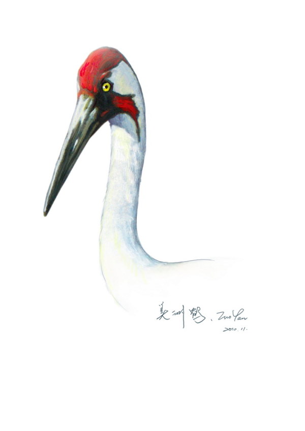 俏羽飞禽唯美工笔画 [46P] (36).jpg