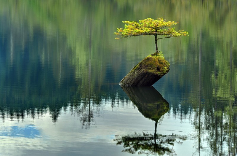风景的影子 [18P] (15).jpg