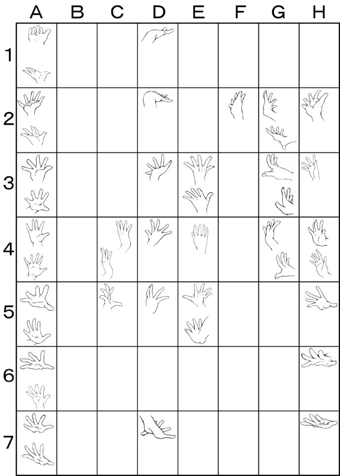 手部动作画法解析 [7P] (5).jpg