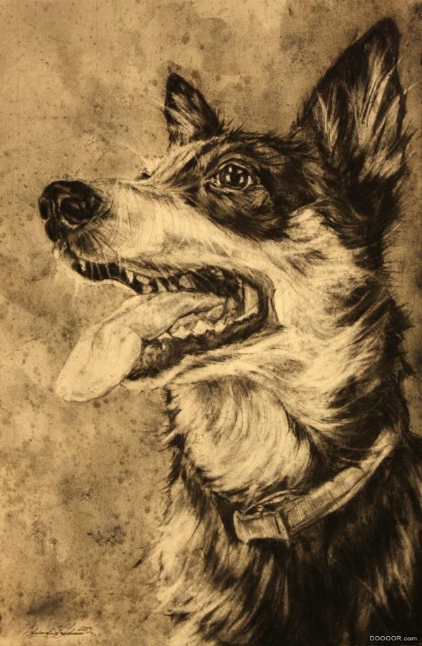 狗和兔子素描还有鸟和猫-Alexander [19P] (3).jpg