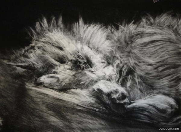 狗和兔子素描还有鸟和猫-Alexander [19P] (17).jpg