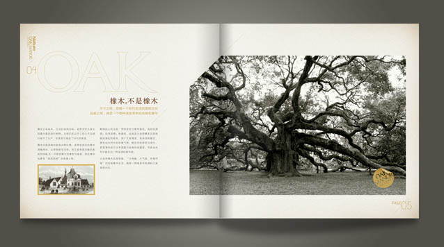 吉米哥©所有禁止转载