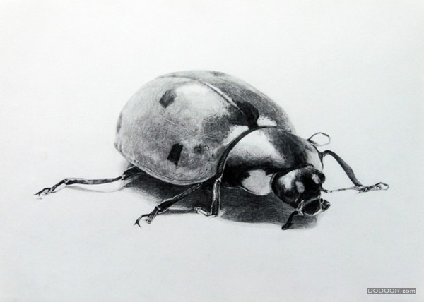 个人比较喜欢的61张插画 (14).jpg