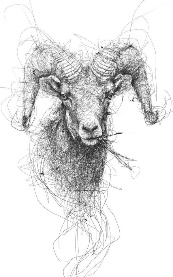 信步甩线潇洒动物插画又是VINCE LOW [6P] (4).jpg