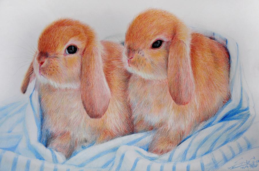 子小伟 彩铅素描的境界 [45P] (11).jpg
