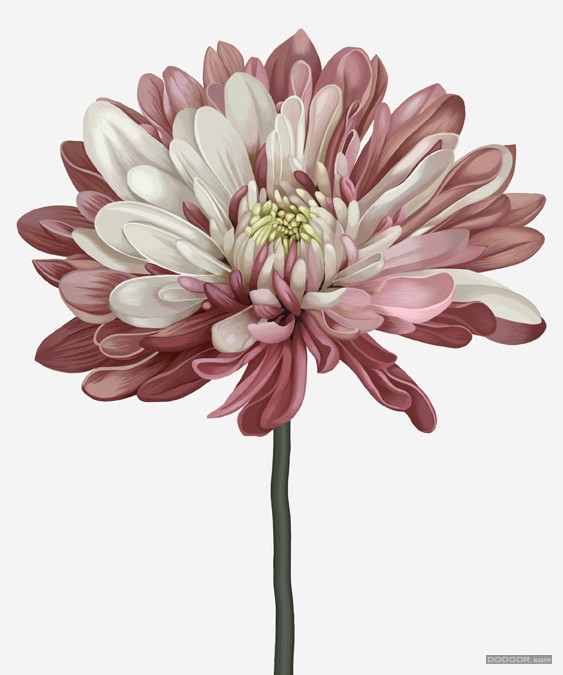 RITA插画暖暖的 [15P].jpg