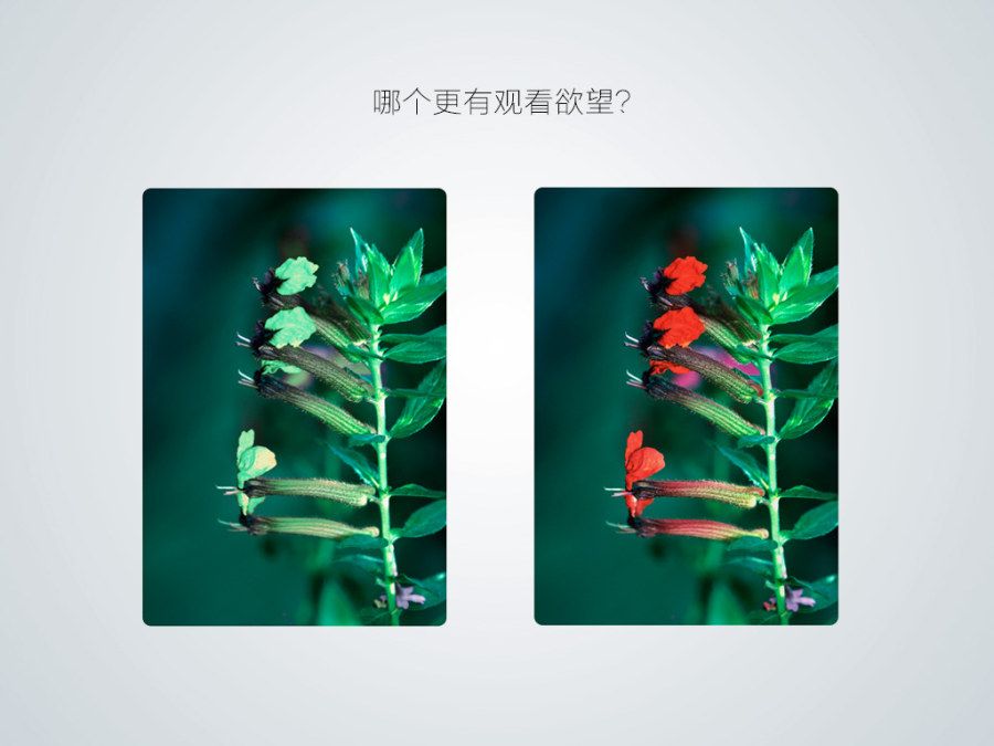 色，你怎么了？庞门正道配色技巧 [36P] (4).jpg